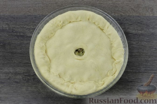 Дрожжевой пирог с куриными желудочками в сметане