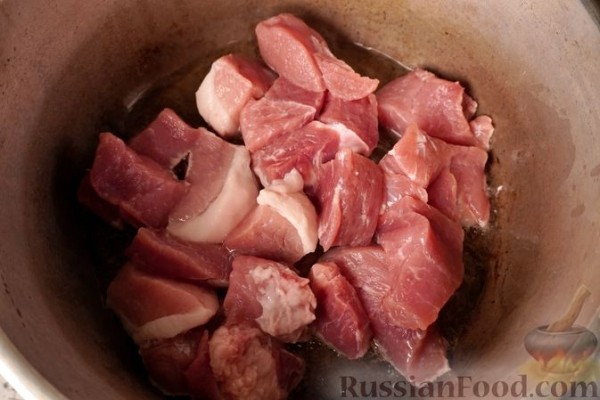 Токитура (мясное рагу)