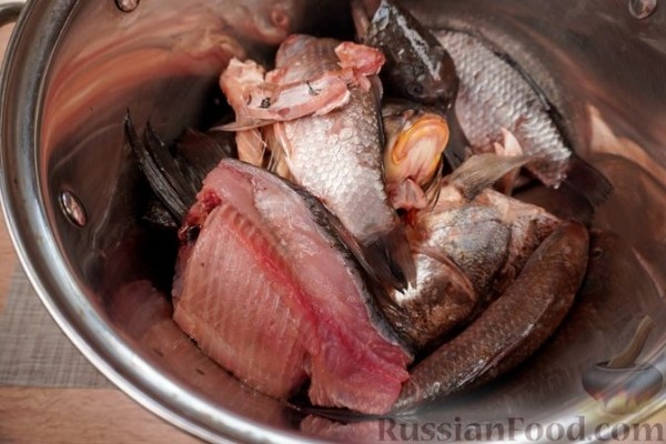Халасле по-сегедски