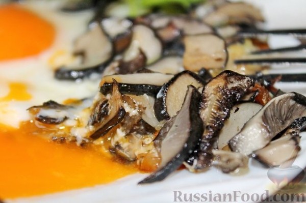 Яичница с луком и лесными грибами