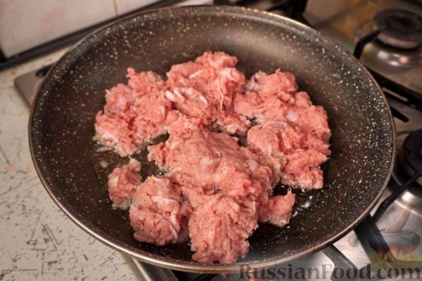 Бугаца с фаршем и грибами (пирог из теста фило)