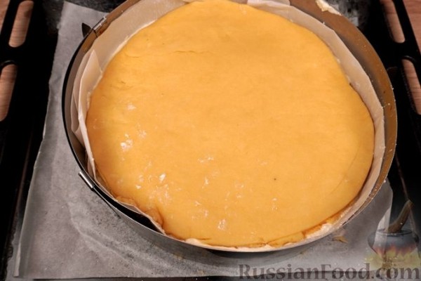Пирог с творогом и абрикосами