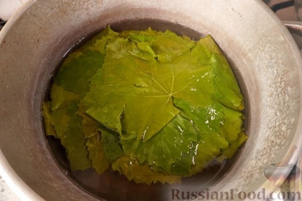 Голубцы из виноградных листьев с кукурузной крупой, грибами и овощами