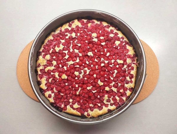 Пирог с красной смородиной и маком
