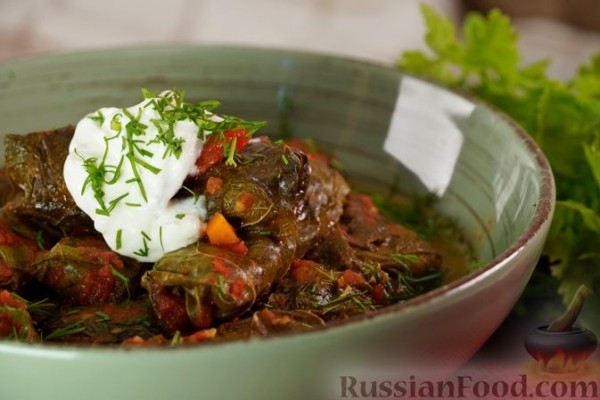 Голубцы из виноградных листьев с кукурузной крупой, грибами и овощами