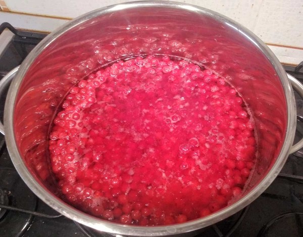 Желе из красной смородины
