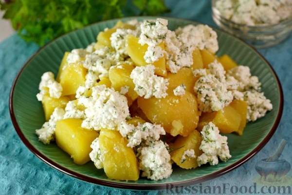 Отварной картофель с творогом и зеленью