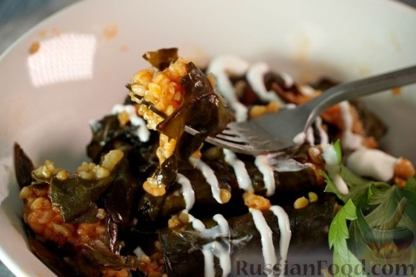 Сарма из свекольной ботвы с рисом и булгуром