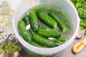 Рецепт малосольных огурцов на зиму