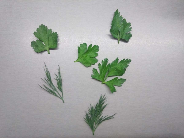 Как покрасить яйца чаем каркаде Как покрасить яйца чаем каркаде