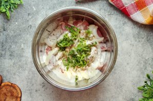 Шашлык на шпажках Шашлык на шпажках